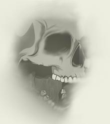 animus_skull.jpg