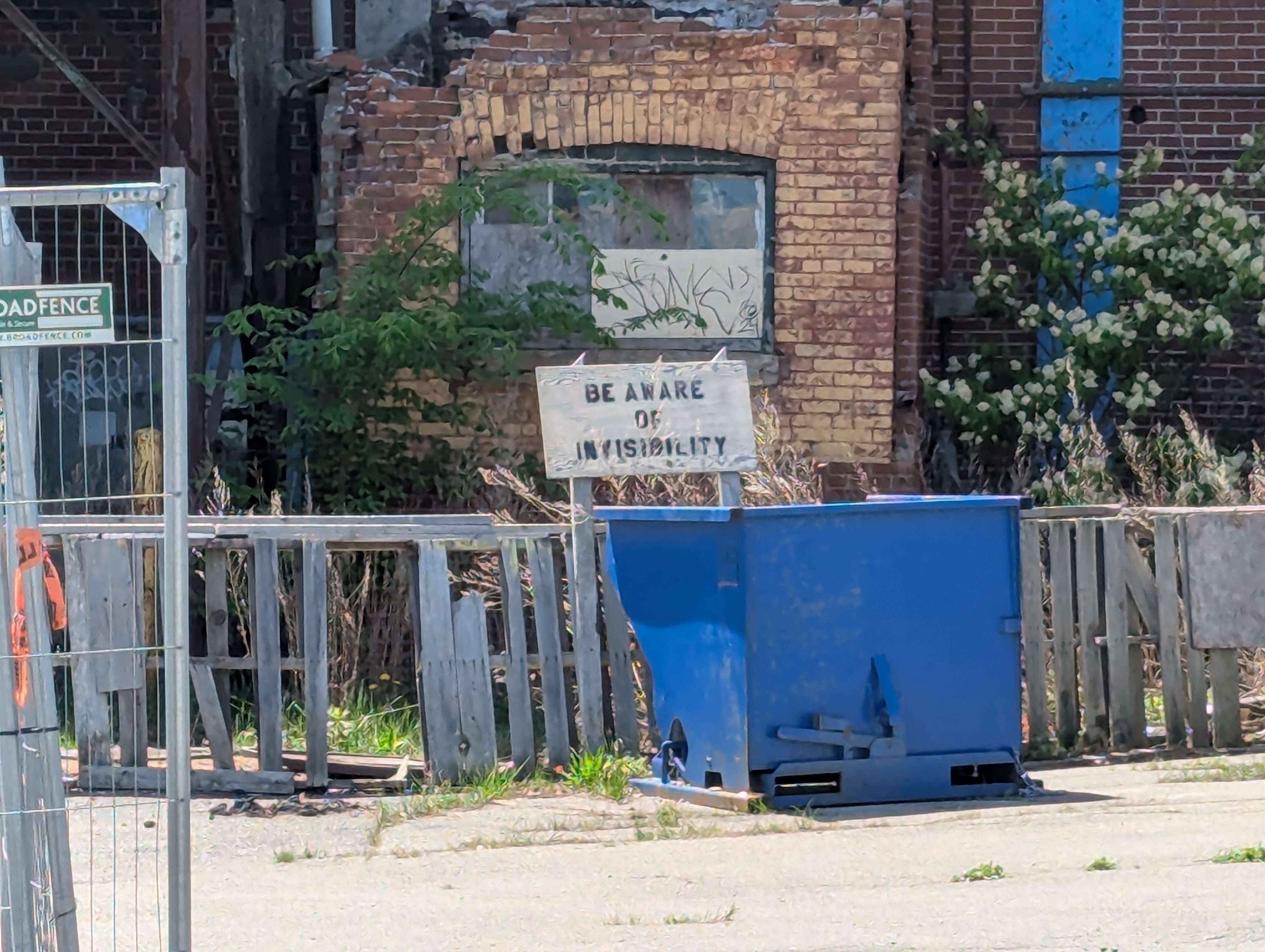 PXL_20250527_164027264.jpg