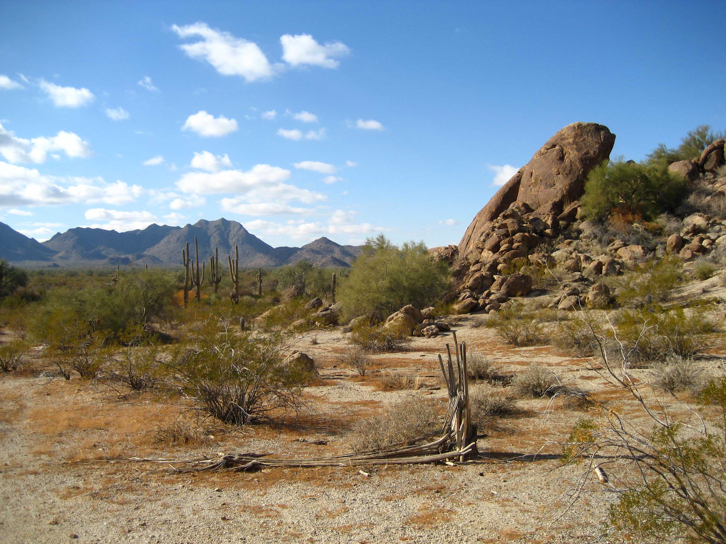 Sonoran_Desert_33.081359_n112.431507.JPG