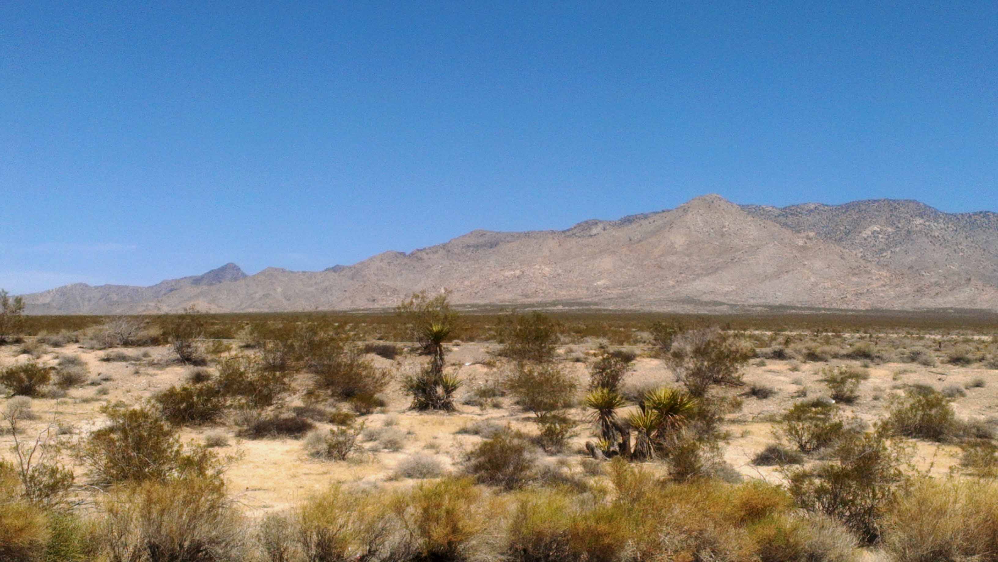 california-desert.jpg