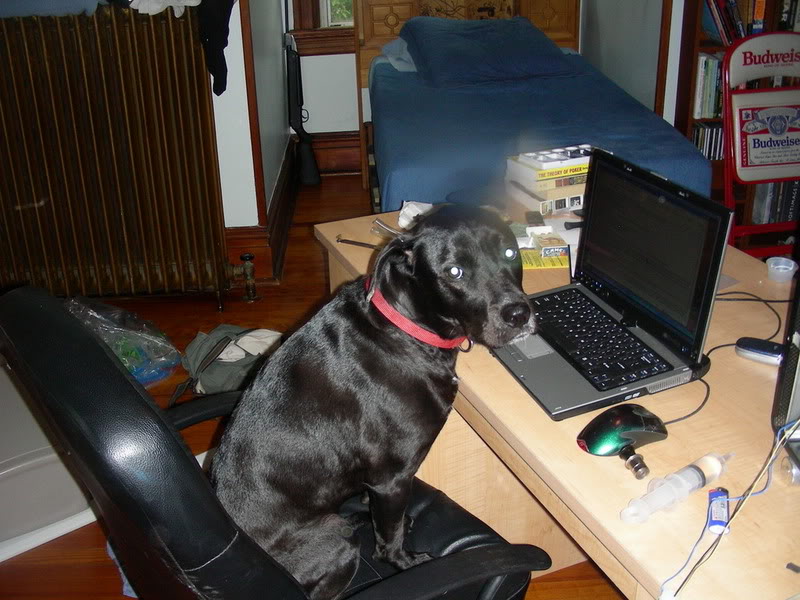 DSCN1032.jpg