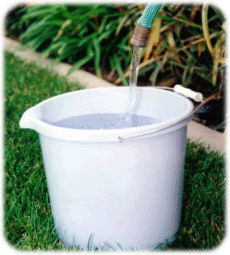 bucket+of+water.jpg