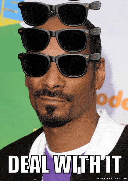 deal-with-it-snoop.gif