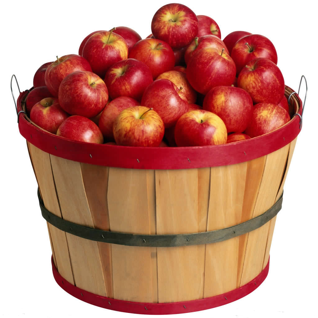 Bushel-of-Apples.png