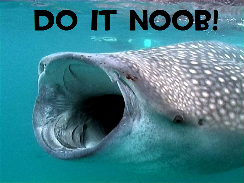 whaleshark.png