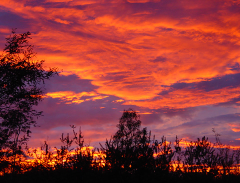 Tucson-sunset.jpg