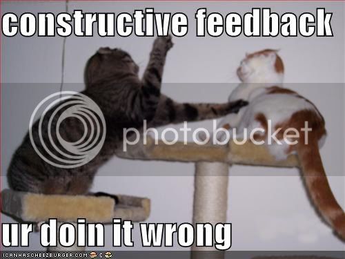 funny-pictures-fighting-cats-constr.jpg
