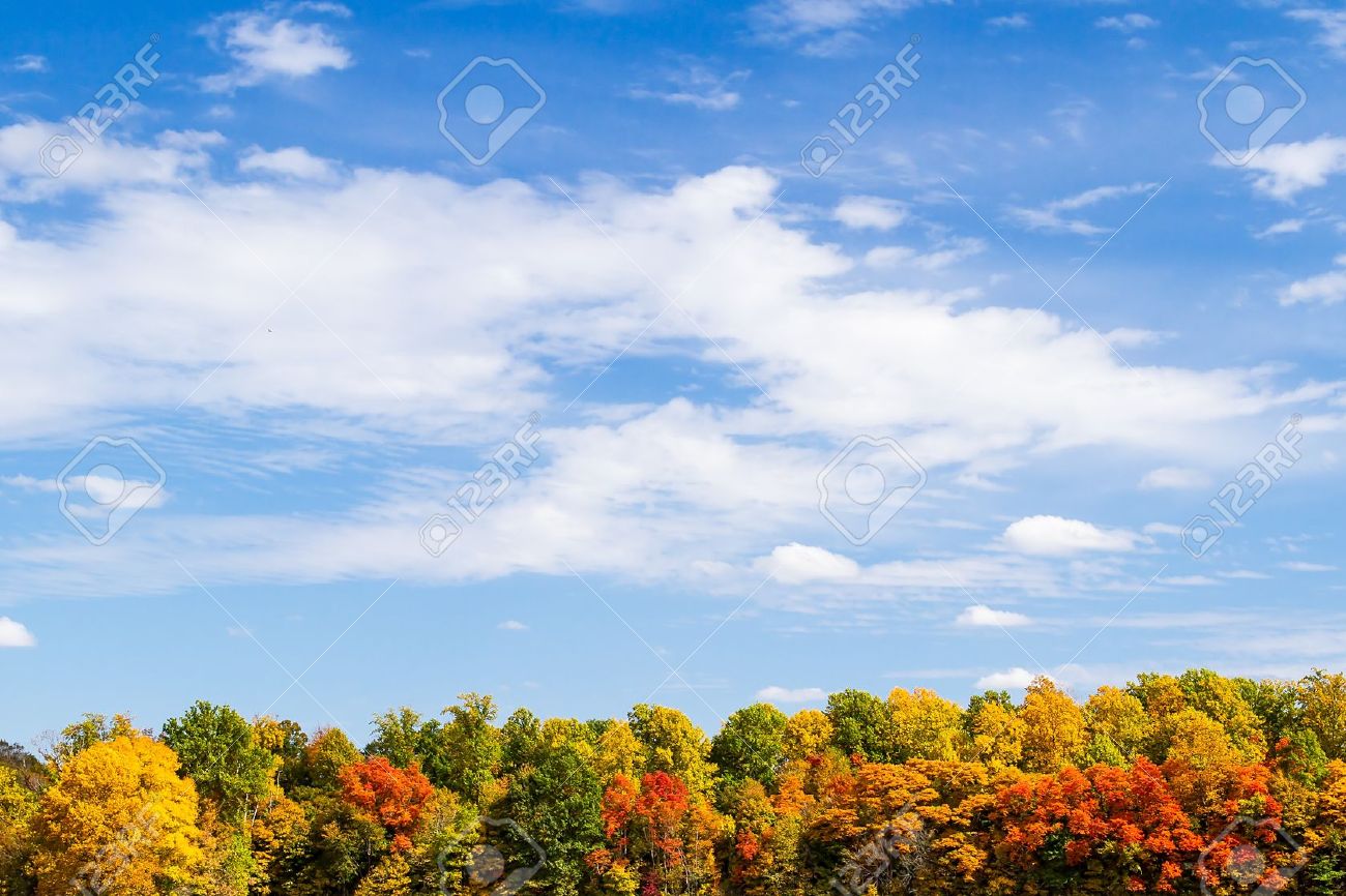 13286808-Colorful-autumn-tree-line-topped-by-a-blue-cloud-draped-sky-Great-text-space--Stock-Photo.jpg