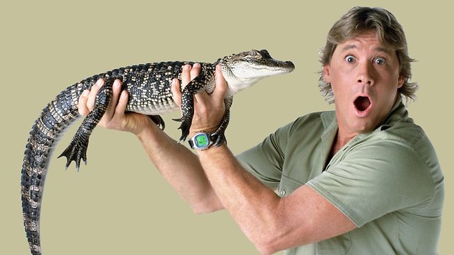 185532-steve-irwin.jpg