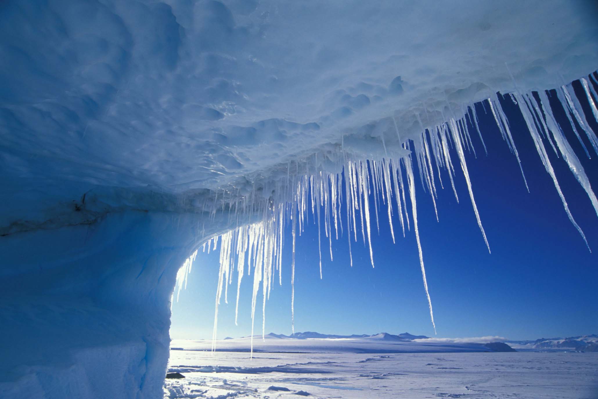 Antarctica-Slideshow-Image7.jpg
