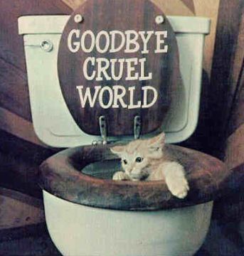 cat_toilet1.jpg